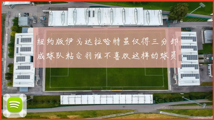 纽约版伊戈达拉哈特虽仅得三分却成球队粘合剂谁不喜欢这样的球员