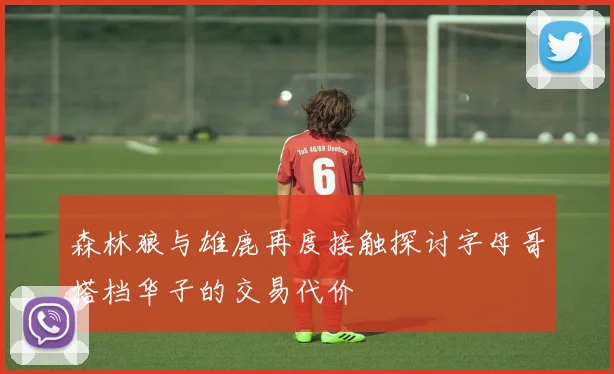 森林狼与雄鹿再度接触探讨字母哥搭档华子的交易代价